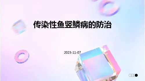 传染性鱼竖鳞病的防治
