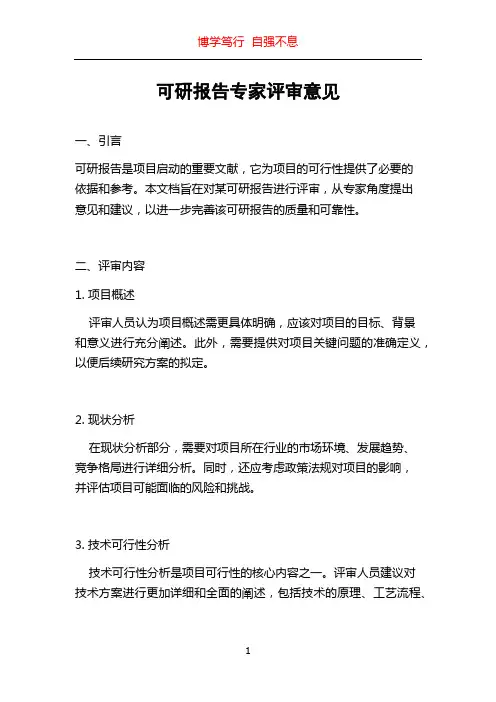 可研报告专家评审意见