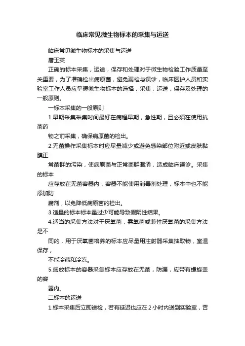 临床常见微生物标本的采集与运送