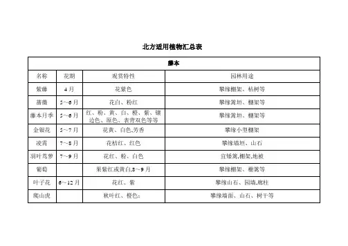 北方适用植物汇总表-藤本等