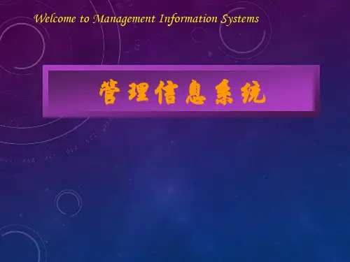 管理信息系统——事务处理系统与知识工作系统