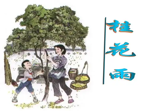 四年级上册语文课件12《桂花雨》｜苏教版 (共22张PPT)