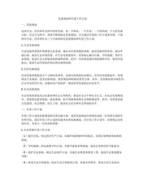 发展规划和年度工作计划