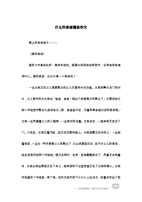 什么的承诺精选作文
