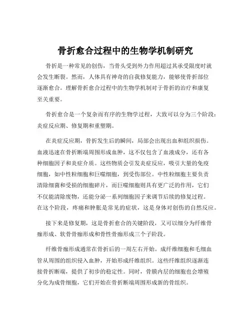 骨折愈合过程中的生物学机制研究