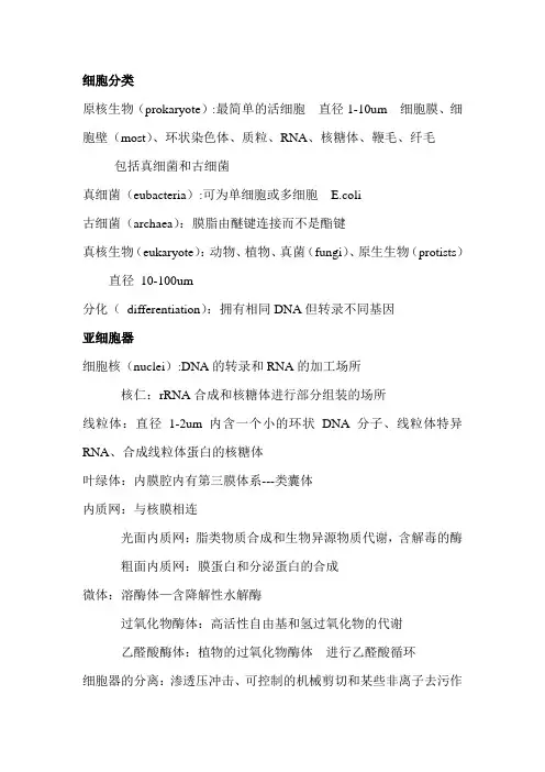 分子生物学双语版本复习资料