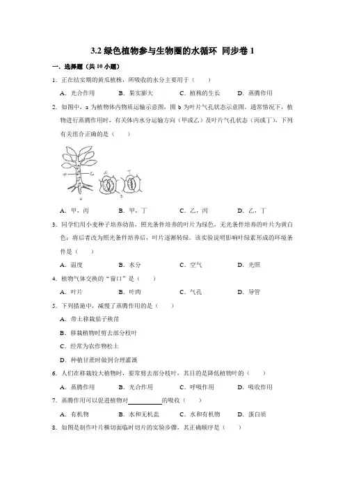 鲁科五四制版生物六年级下册绿色植物参与生物圈的水循环