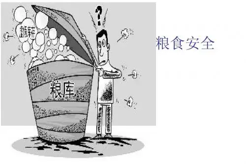 粮食安全