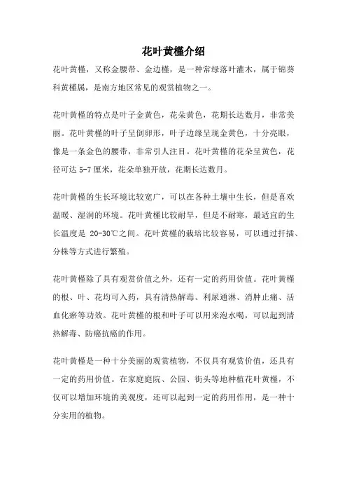花叶黄槿介绍