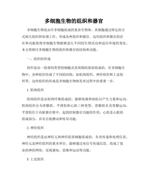 多细胞生物的组织和器官
