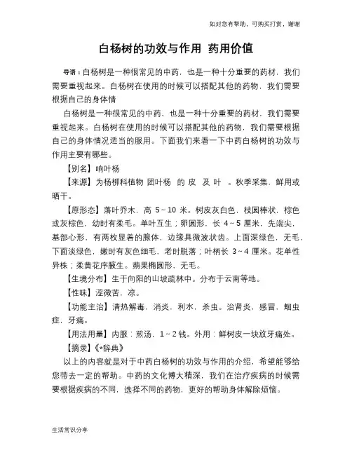 白杨树的功效与作用 药用价值