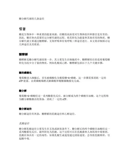 糖分解代谢的几条途径的联系