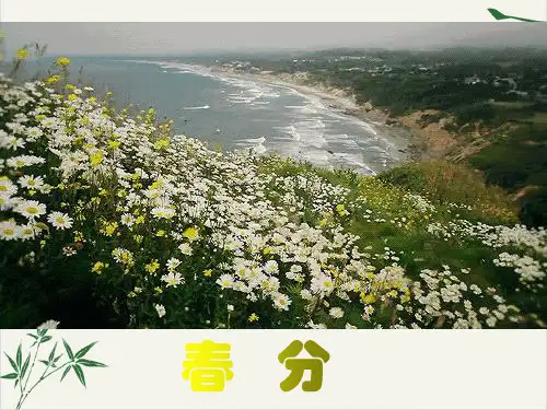 高三语文总复习：非连续性文本阅读的比较分析题51页