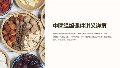 中医经络课件讲义详解