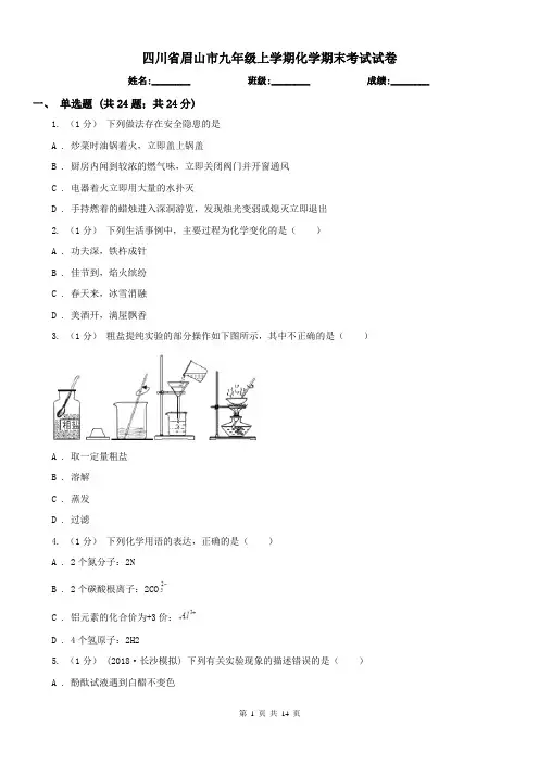 四川省眉山市九年级上学期化学期末考试试卷