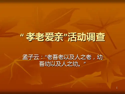 社会实践-演示文稿PPT课件