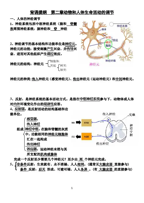 高中生物必修三第二章神经调节复习提纲(必修)