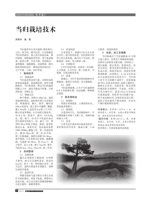 当归栽培技术