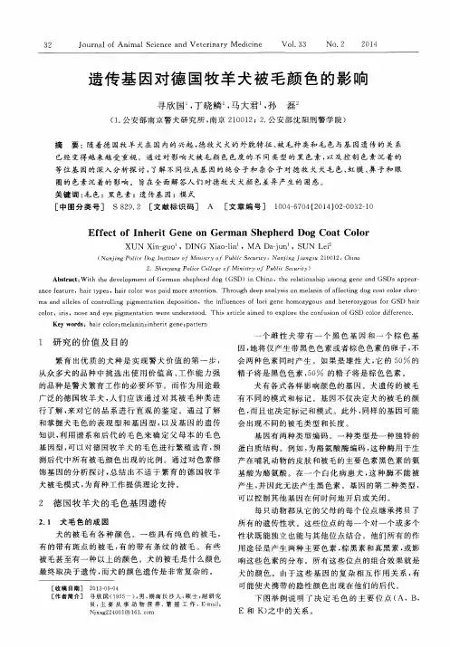 遗传基因对德国牧羊犬被毛颜色的影响