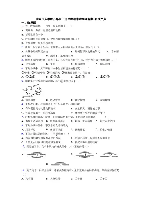 北京市人教版八年级上册生物期末试卷及答案-百度文库