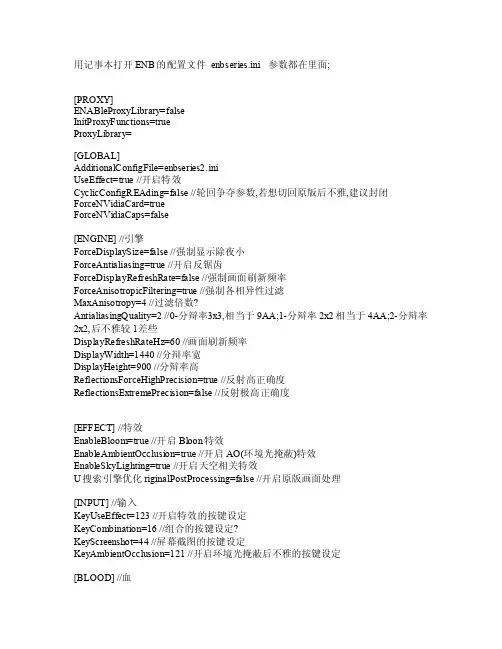 gta4enb设置参数翻译