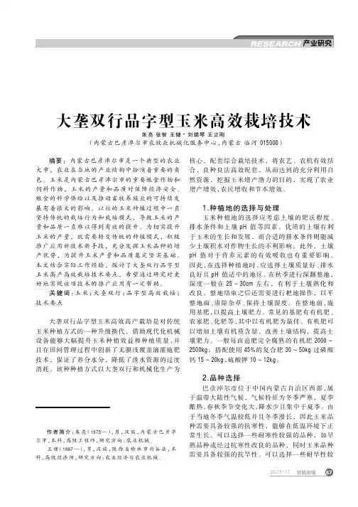 大垄双行品字型玉米高效栽培技术