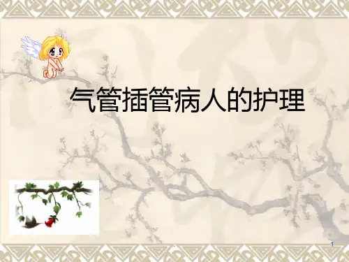 气管插管病人的护理ppt课件