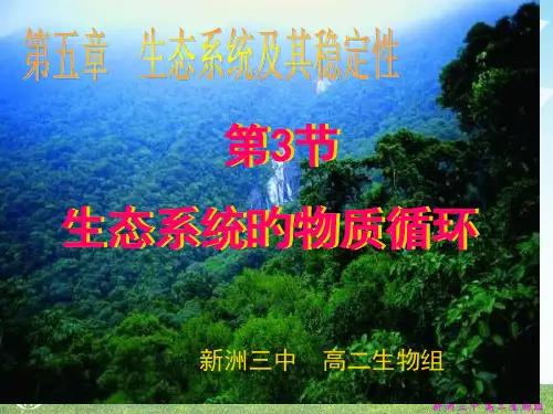 人教版教学第3节生态系统的物质循环lei省名师优质课赛课获奖课件市赛课一等奖课件