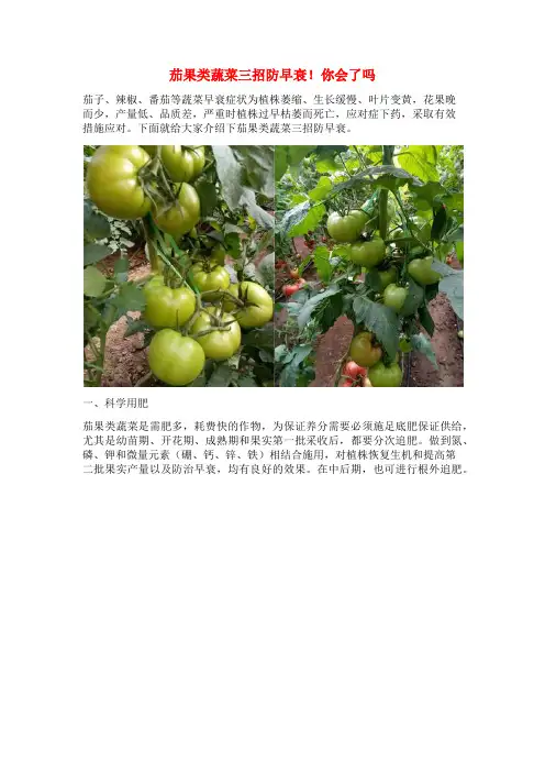 茄果类蔬菜三招防早衰!你会了吗