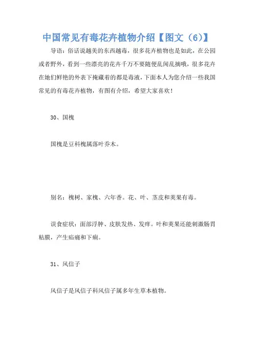 中国常见有毒花卉植物介绍【图文(6)】
