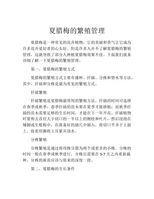夏腊梅的繁殖管理