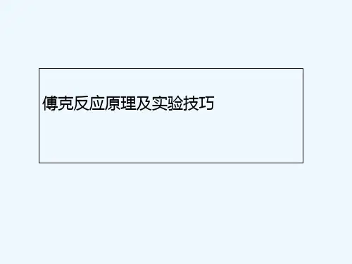 傅克反应-PPT