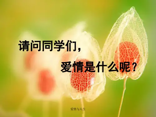 爱情与人生课件