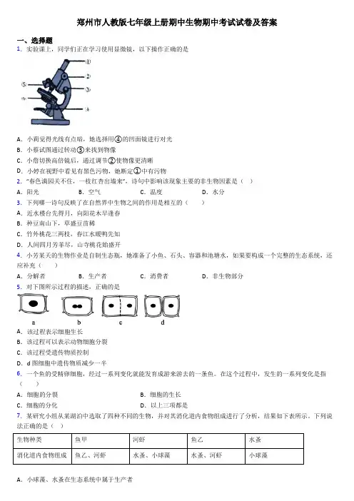 郑州市人教版七年级上册期中生物期中考试试卷及答案