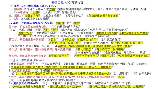 精讲34 基因工程-2024年高考生物一轮复习课件(新教材新高考)
