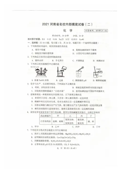 河南省郑州外国语中学2020-2021学年九年级下学期月考化学试卷