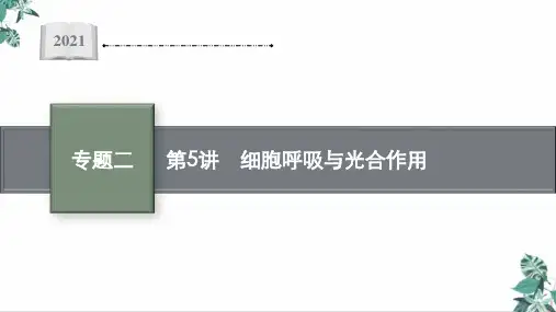 细胞呼吸与光合作用公开课PPT广东高考二轮复习生物PPT