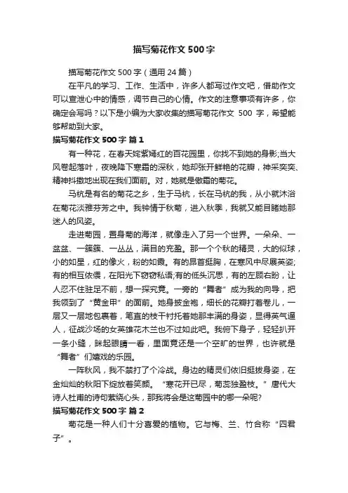 描写菊花作文500字（通用24篇）
