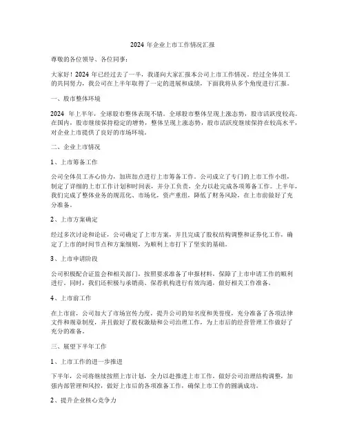 2024年企业上市工作情况汇报