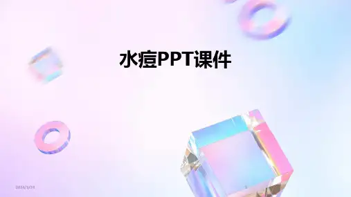 2024年度水痘PPT课件