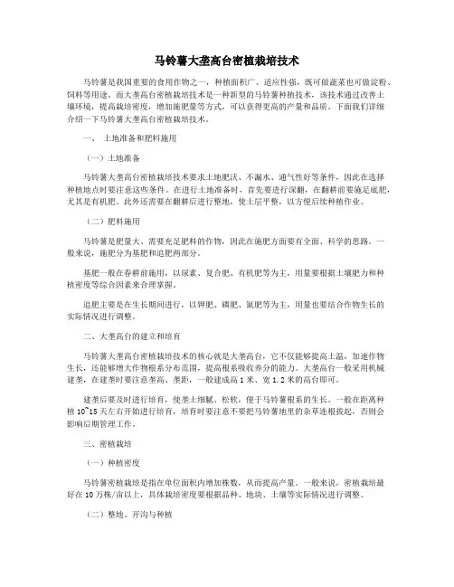 马铃薯大垄高台密植栽培技术