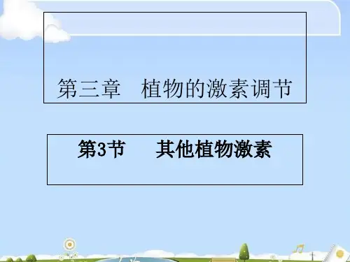 人教版高中生物必修三第3章第3节  其他植物激素  课件.(共21张PPT)