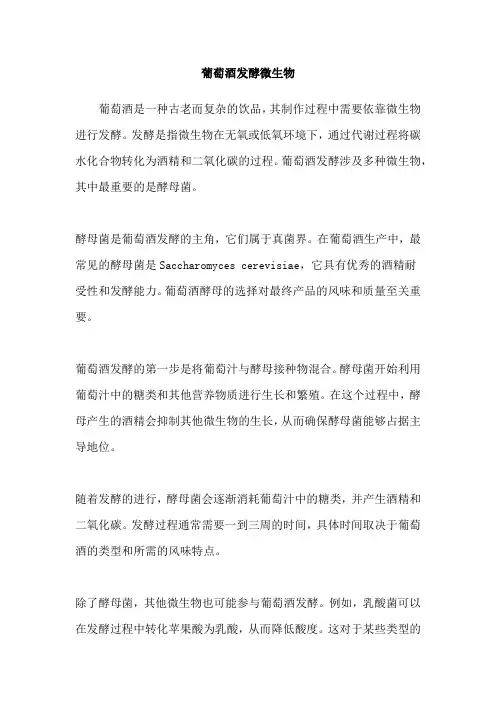 葡萄酒发酵微生物