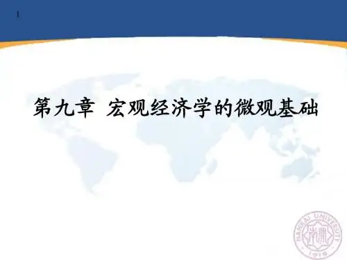 09 宏观经济学的微观基础