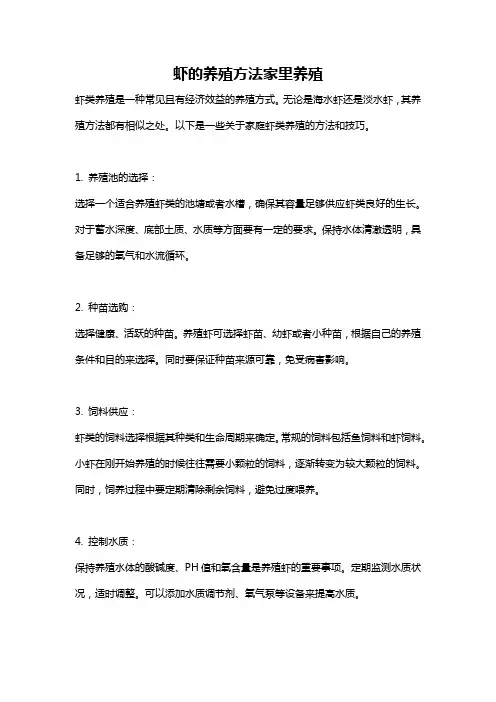 虾的养殖方法家里养殖