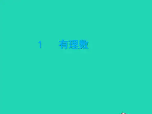 2022六年级数学上册 第二章 有理数及其运算 1有理数课件 鲁教版五四制