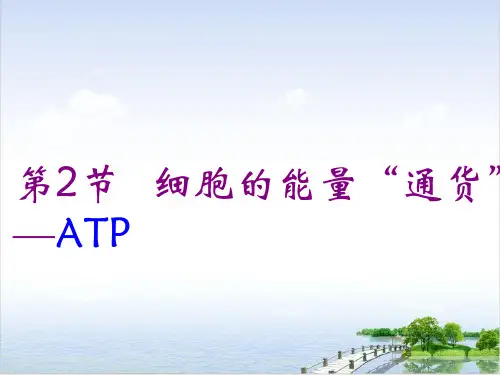 人教版生物必修一细胞的能量“通货”-ATPPPT课件(精选)40张