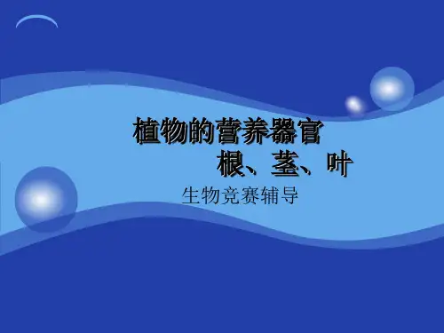 植物生物学——植物的营养器官：根、茎、叶(共115张PPT)