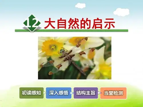 大自然的启示PPT课件最新4下人教版第12 课
