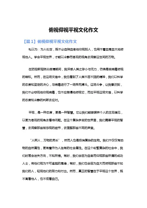 俯视仰视平视文化作文